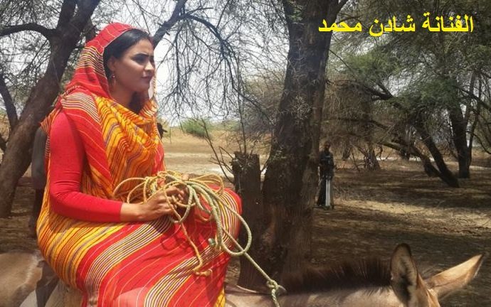 رصاصة طائشة اودت بحياة الفنانة السودانية